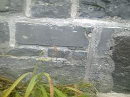 millstreet 10330.jpg